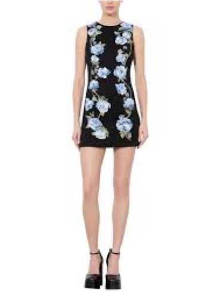Nwt Alice + Olivia Clyde Embroidered Twill Mini Dress In Black Size 4